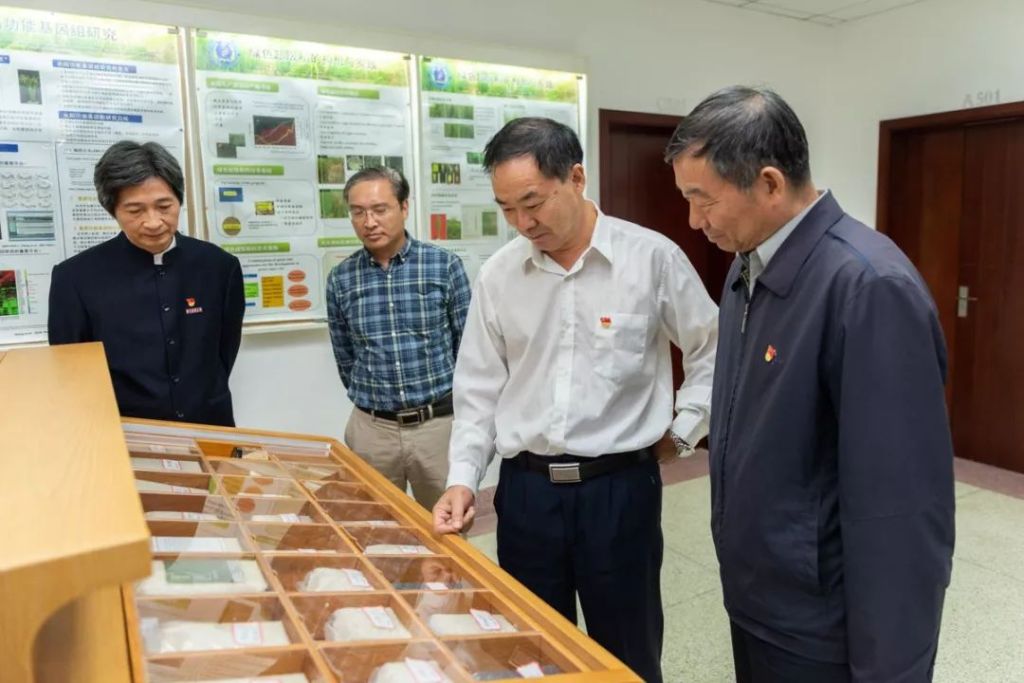 6021ec9894064d30a2a90b381103749d-2.jpg 6021ec9894064d30a2a90b381103749d-2.jpg